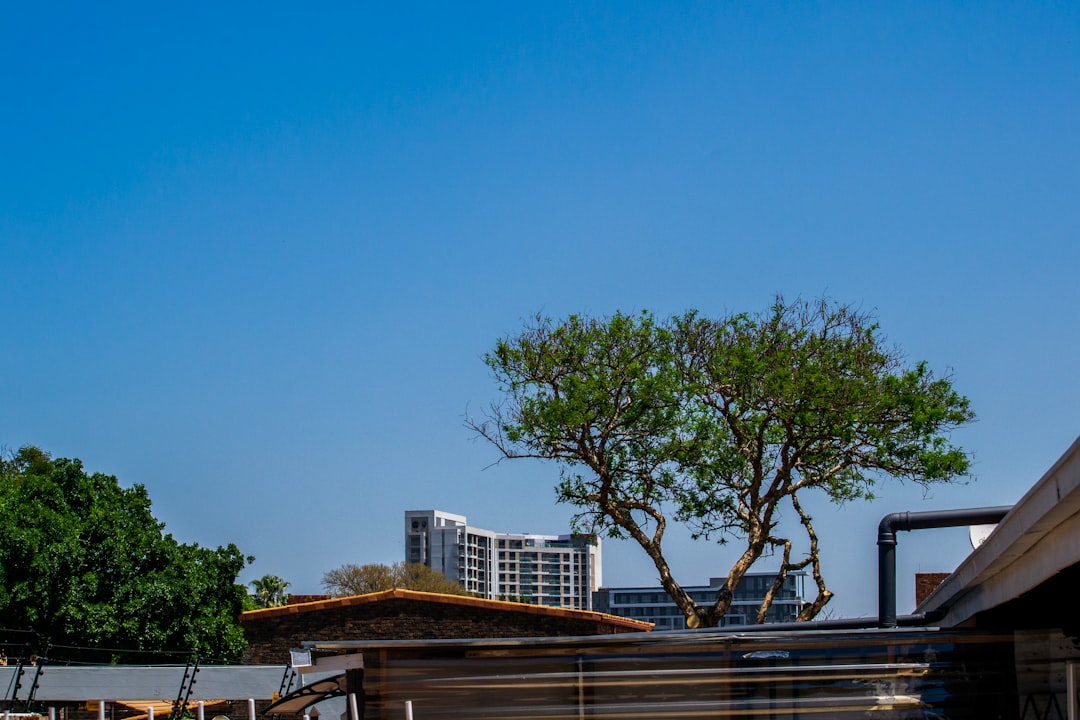 Fotovoltaico in Condominio: Regole, Costi e Procedura Completa 2026